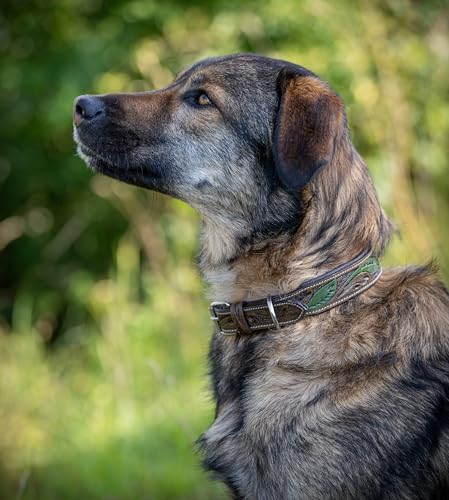 Jack & Russell Unikat Hundehalsband aus Leder, Hand-geschnitzt & gepolstert– Halsband aus Büffelleder, Hunde Lederhalsband braun/dunkelgrün Hailey (M (31,5-42,0cm))