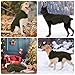 HEYWEAN Mantel Hund Wasserdicht Hundemantel Warm Winter Hundejacke Fleece Hunde Pullover Wintermantel mit D-Ring Reflektierend Hundemantel mit Klettverschluss Winterjacke Kleine Mittlere Grosse Hunde