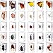 30 Pcs Insect in Resin Specimen Bugs Collection Paperweights Real Bugs in Resin Various Insect Specimen Bug Preserved in Resin Bugs Collection for Kids Scientific Educational Supplies Bugs Display