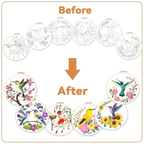 Image of BEUNITONE 6 Set Hummingbird Starter Embroidery Kit with Pre-Stamped Pattern