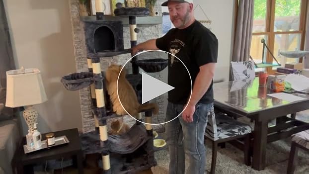 チョメキャット① Amazon.com : Taoqimiao 76-Inch Cat Tree Cat Tower for Indoor