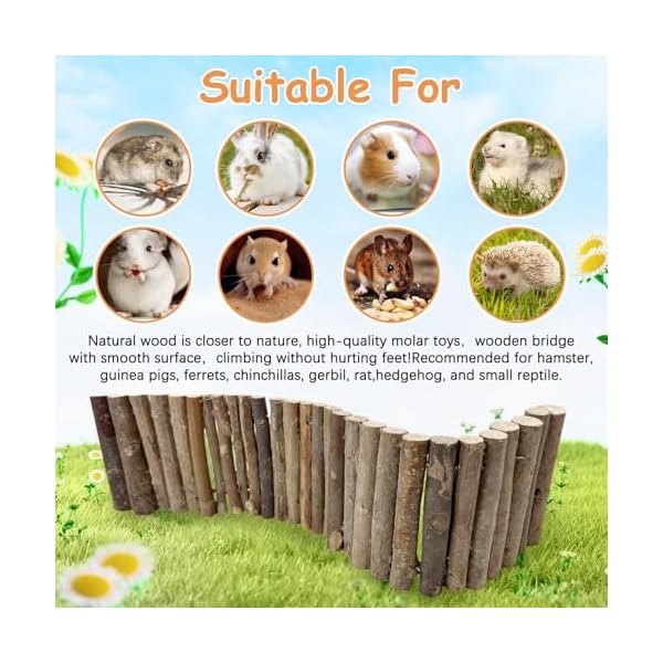 Hamiledyi Bunny Holzleiter Meerschweinchen DIY Spielzeug Nager Kauen & Klettern Brücke Chinchillas Käfig Tunnel/Versteck/Hütte/Rampe/Trennwand für Kleintiere Ratten Syrisch – Bild 7