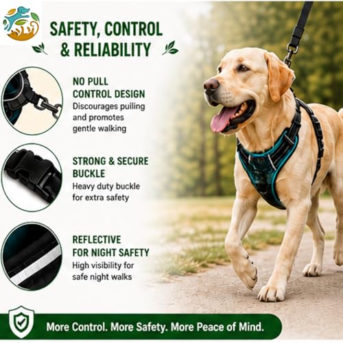 Image of Adjustable Padded Dog Harness with Leash | Comfortable Walking Harness for Dogs | Orange | Size S | Suitable for Dogs 11-15 kg