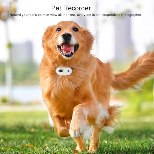 Image of Gugxiom Cat Collar Camera, 1080P HD 2.4G Dog POV Collar Camera with APP, Pet Wearable Body Camera for Pet Supplies Camera (White)