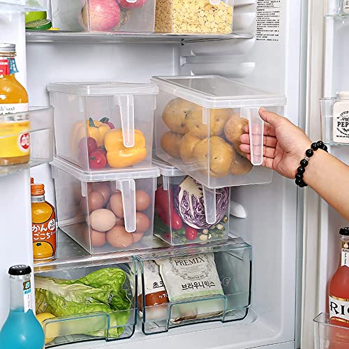 Image of Plastic Fridge Storage Organizer Container with Lid & Handle - 5L Transparent Refrigerator Organizer Box for Vegetables & Fruits (Pack of 1)