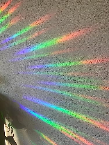 Image of 10 Flower Window Decals - Anti-Collision Stickers to Save Birds, Reusable Vinyl Rainbow Stickers