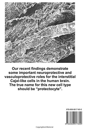 The Interstitial Cells of the Human Brain. An Atlas of Light and Electron Microscopy