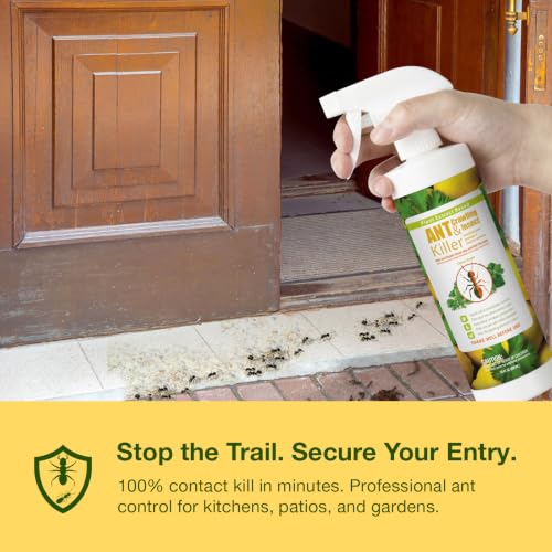 Image of EcoVenger By EcoRaider Ant Killer & Crawling Insect Killer, 16 OZ Ready to Use, Indoor & Outdoor, Kills & Repels, Lasting Prevention, Natural & Non-Toxic Plant Based Formula, Pleasant Citrus Scent