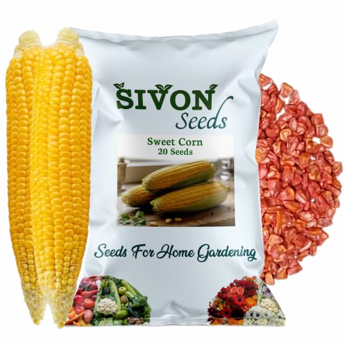 Image of SIVON Sweet Corn (Meetha Makka) (20 Seeds) Vegetable Seeds for Home Garden, Organic & Hybrid, Perfect for Home Gardening, Planting For Pots and Patio