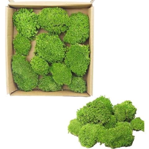 FAICOIA Preserved Pillow Moss Bulk Green Moss Balls for Bowls Natural Green Decorative 0.45 sq.ft Preserved Pole Moss Pillow for Wall Art Terrariums Crafts Fairy Gardens Pot Plants Easter Table Decor Cover