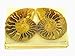 Beautiful Morrocan Ammonite Polished Halves Lapidary Fossil Specimen