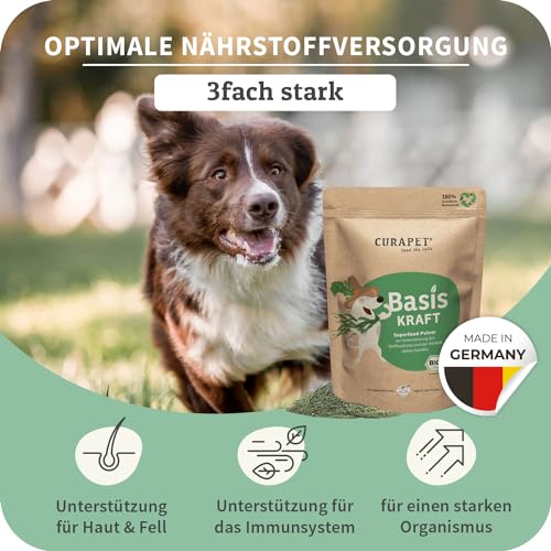 Bio Spirulina-Mix Pulver für Hunde – CURAPET – zur ernährungsphysiologischen Unterstützung Einer ausgewogenen Fütterung, Barf geeignet, mit Shiitake, Moringa, Chlorophyll & Vitamin E – 200 g