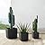 Glitzhome Planters for Outdoor Plants Set of 3 Different Sizes Square Flower Pots with Pre-drilled Drainage Holes, Black