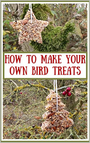 How to make your own bird treats: Create your own hanging feeders for pet birds or garden birds