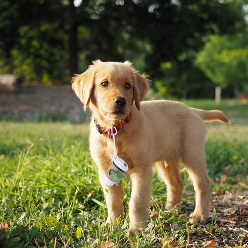 2-teiliger Hundekotbeutel Spender mit Kaffeetasse Design,Kotbeutelspender für Hunde,Produkte für Haustiere im Freien,Hundekotbeutel Halter，mit elastischem Lanyard
