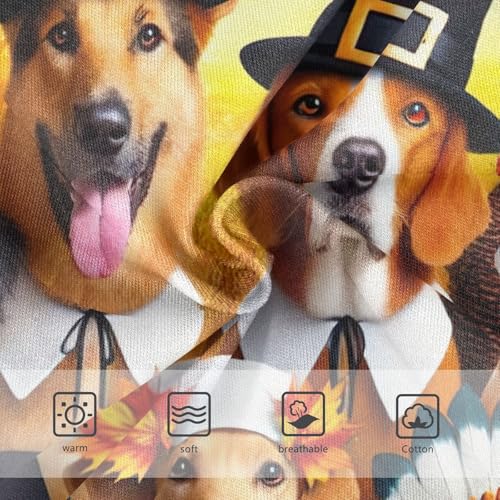 Cute Autumn Farm Animals Girls Underwear Toddlers 2t Cotton Panties Little Girl Florals Kids Undies Briefs3