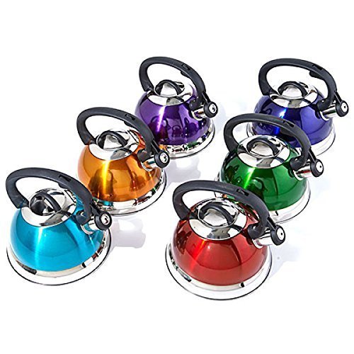 Whistling Tea Kettle in Purple by Home Select