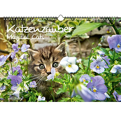 Calendrier perpétuel - Format A3 - Motif chats et bébés chats - Seelenzauber