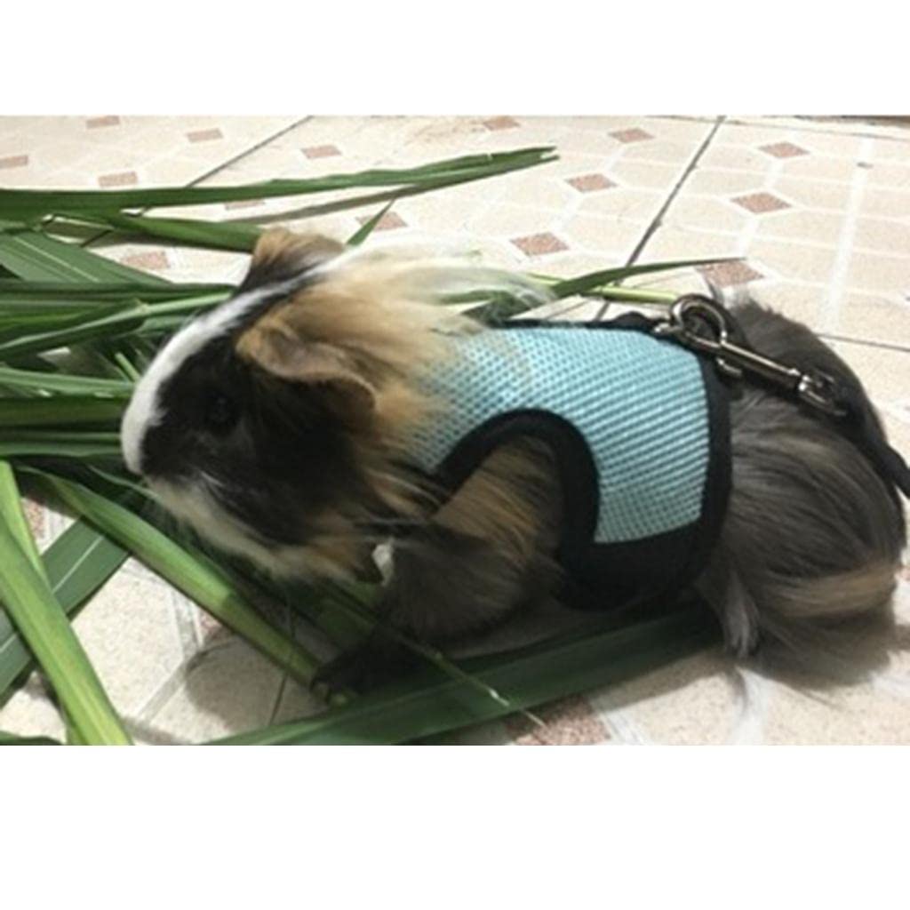 Verstellbares, Atmungsaktives Kaninchengeschirr mit Leine für Kaninchen, Katzen Und Andere Kleintiere, Blau, L