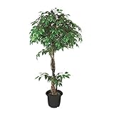 Höhe: ca. 160 cm Decovego Ficus Benjamin Birkenfeige Kunstpflanze Kunstbaum Künstliche Pflanze mit Echtholz 160 cm