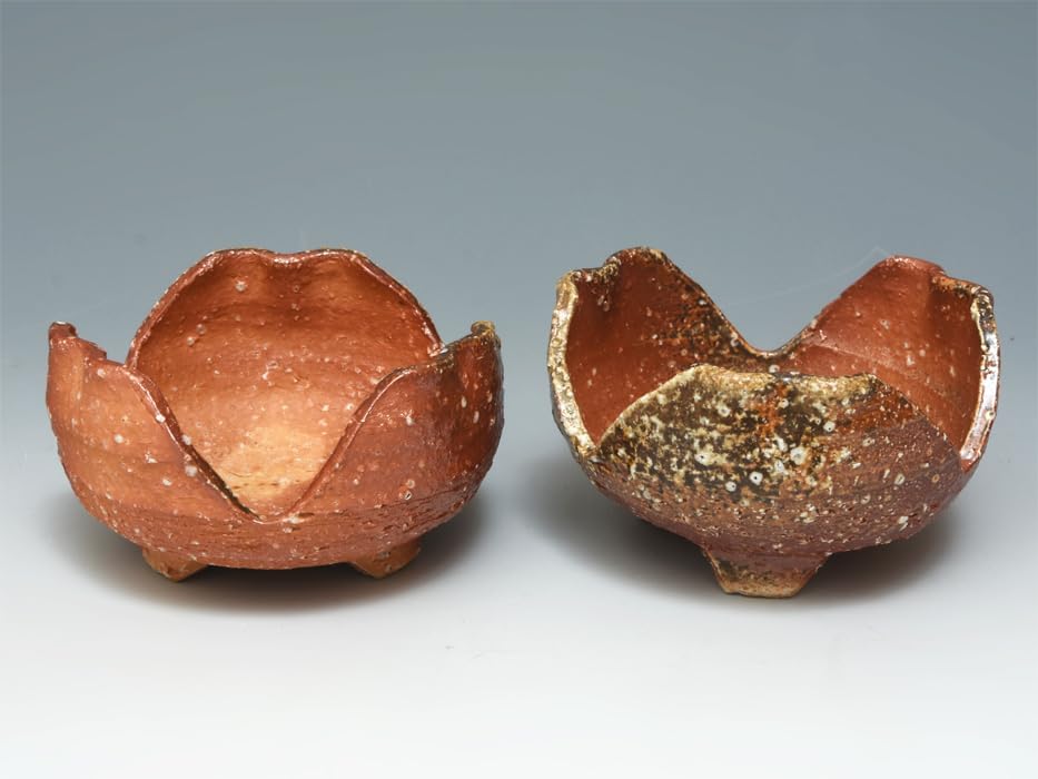 伊賀焼 谷本景 鉢 手鉢 大鉢 三田窯 和食器 陶芸品 共箱 美術品 骨董品