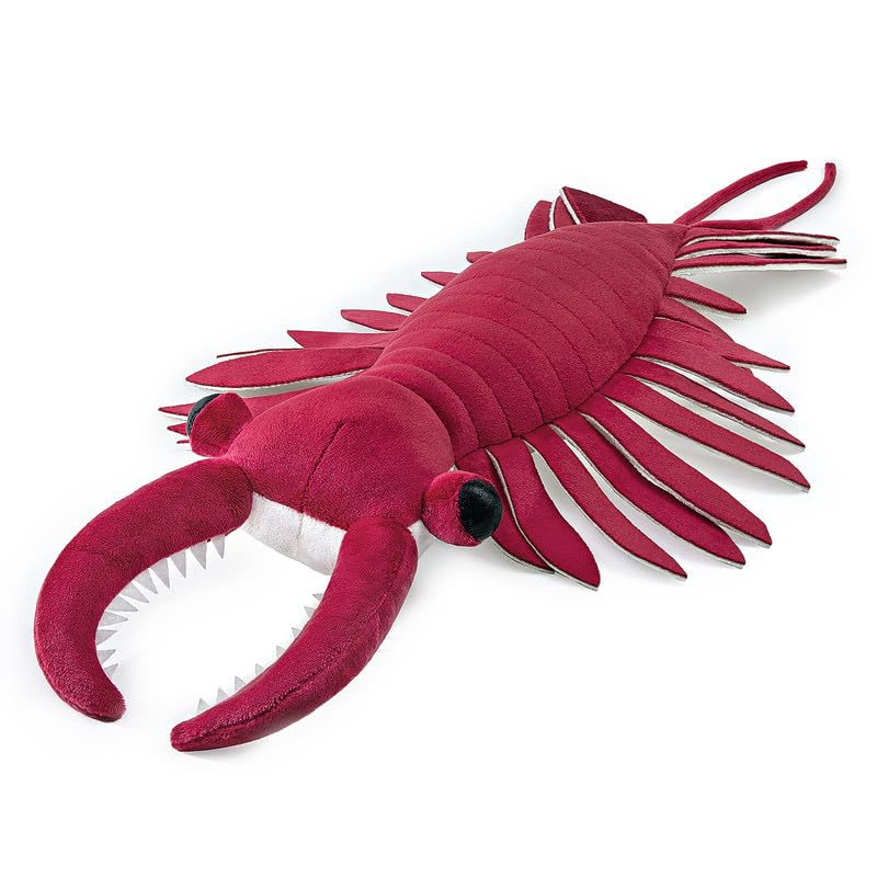 PuffPurrs Realistic Cambrian Ancient Organism Anomalocaris Plush Toy