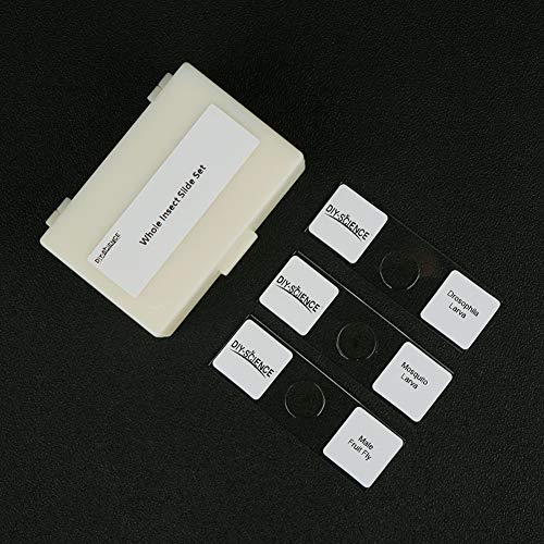 Image of Prepared Whole Insects Microscope Slides Set, 10pcs Specimens for Kids Students Biology Class, Educational Gift (Whole Insects)