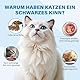 Oivolii Katzenakne Creme, 120 ml - Katzen-Akne-Kinnentferner, Sanfte Aknebehandlung, 2-in-1 Reinigungsgel & Bürste mit weicher Silikon-Schrubberbürste für