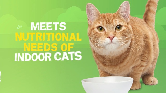 Purina Friskies Indoor Wet Cat Food Variety Pack, Indoor - (24) 5.5 oz. Cans - Image 8