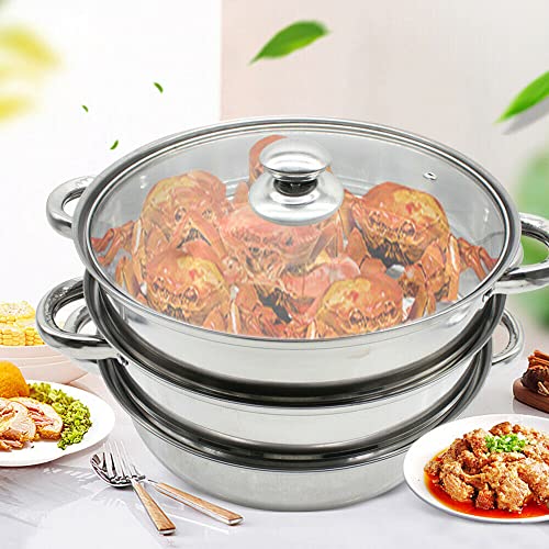 ANSNOW Stainless Steel Steam Cooker, 3 Ply Steam Cooker Steam Cooker Steam Cooker Steam Cooker with Glass Lid (28Cm)