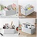 Tiawudi 2 Pack Caddy Organizer with Handle, Portable Plastic Caddy, Storage Organization for Cleaning, Bath, Makeup, Art, Craft, Stationery, Classroom and Office, Tote Organizer