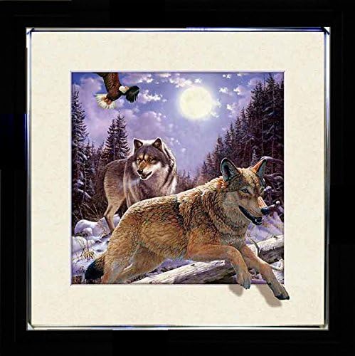 5D / 3D + Lenticular Framed 3d Picture Poster Artwork Wall Decor Holographic Pics Optical Illusion Animated Image on Canvas (With Black Frame) (Wolves & Eagle)