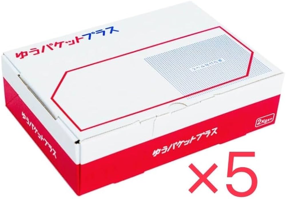 Amazon.co.jp: ゆうパケットプラス専用箱 日本郵便株式会社 フリマ専用