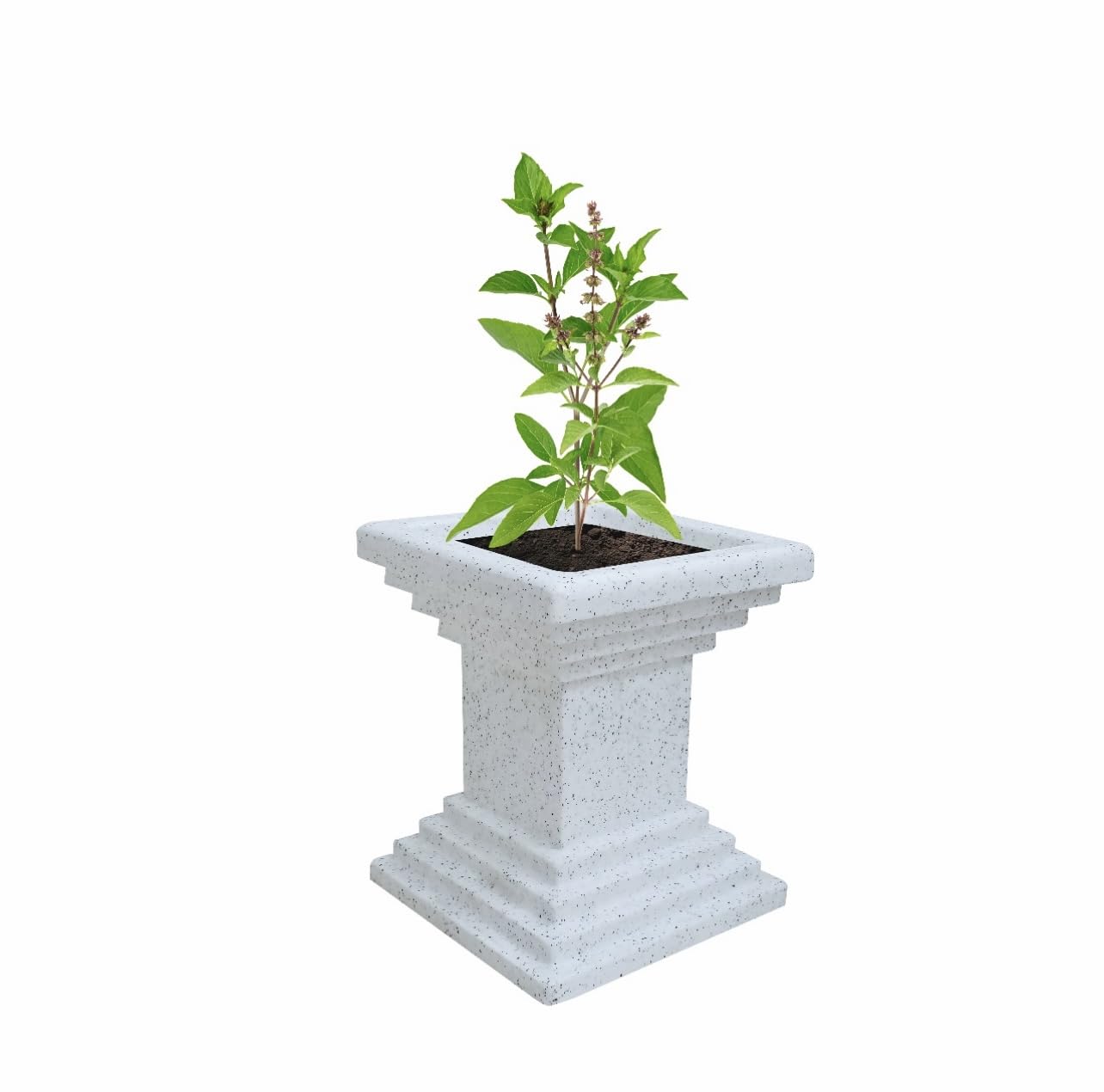 See full amazon price history chart for Khushvee Horeca Tulsi Pot Plant Container Set (Plastic) Roto (White, Plastic, 25.4 Cm) Khushvee Horeca Tulsi Pot Plant Container Set (Plastic) Roto (White, Plastic, 25.4 Cm) (B0D4V7SZG5) Amazon Price History, Amazon Price Tracker
