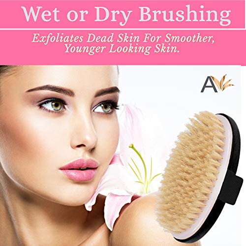 Image of Exfoliating Brush Dry Brush For Wet or Dry Brushing, Body Brush With Natural Bristle For Glowing SKin, Cellulite Treatment, Lymphatic Drainage and Blood Circulation (Oval-Black Wood)