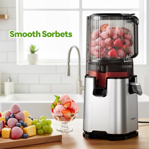 Cold Press Masticating Juicer Machine