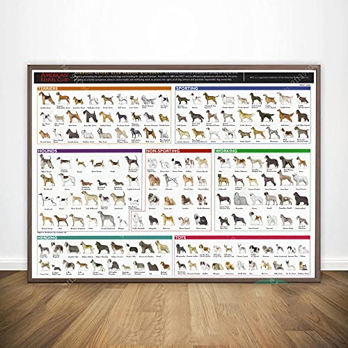 ZHJJD Das Diagramm der verschiedenen Hunderassen Anatomie Diagramm Poster Pet Shop Kunstdrucke Hund Leinwand Bilder Haustier Hund Wand BilderWohnzimmer Dekor 60x80cm Kein Rahmen, Schwarz & Weiß