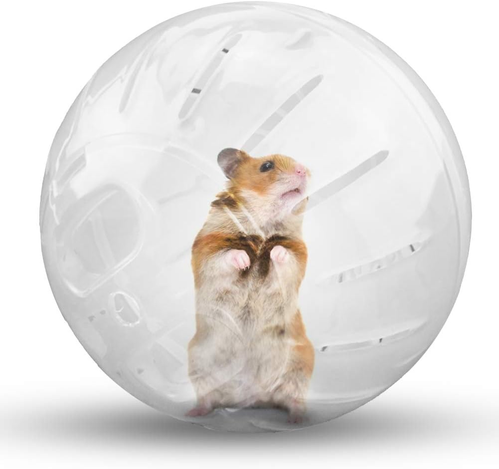 Hamster Exercise Ball Silent Hamster Wheel Small Animals Transparent Ball for Dwar Rat Relieves Boredom and Increases Activity (4.8 inch, Clear)
