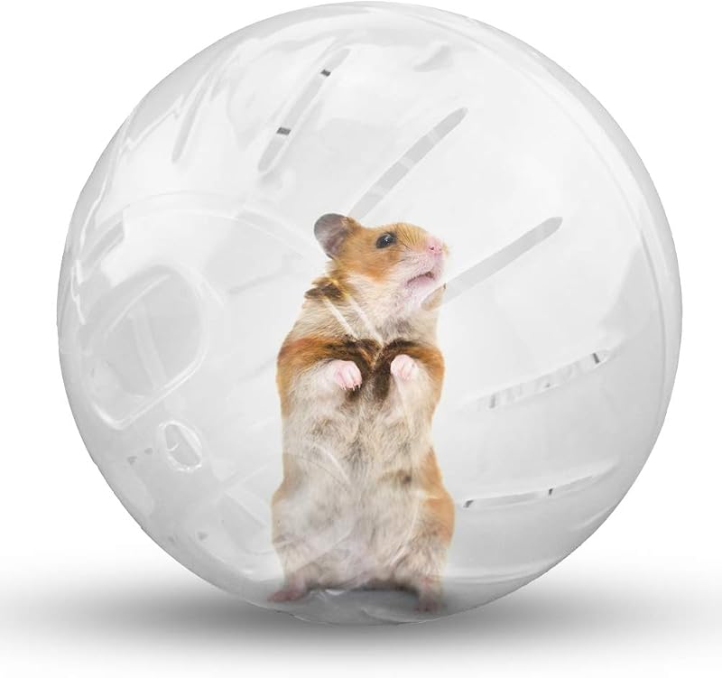 Bola de Exercício Transparente para Hamster com Orifícios de Ventilação CHUQIANTONG M1524, 12,19 cm