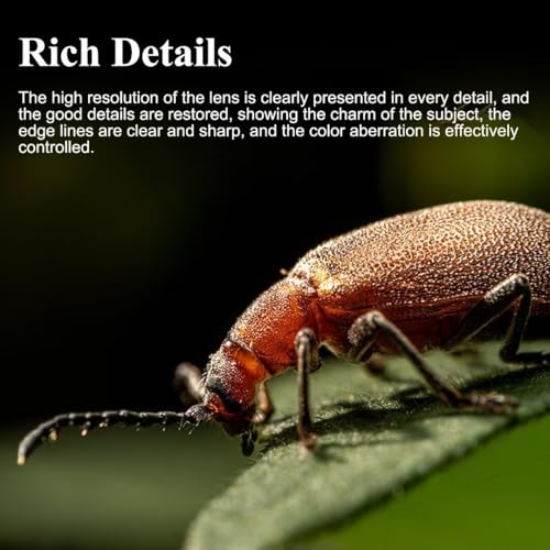 7artisans 60mm F2.8 Macro 2X Lens for Nikon Z Mount,2:1 Full Frame Prime Manual Focus Large Aperture Lens for Mirrorless Cameras for Z9,Z8,Z7,Z72,Z6,Z62,Z63,Zf,Z5,Zfc,Z50,Z30