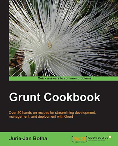 Grunt.js Cookbook : RAW