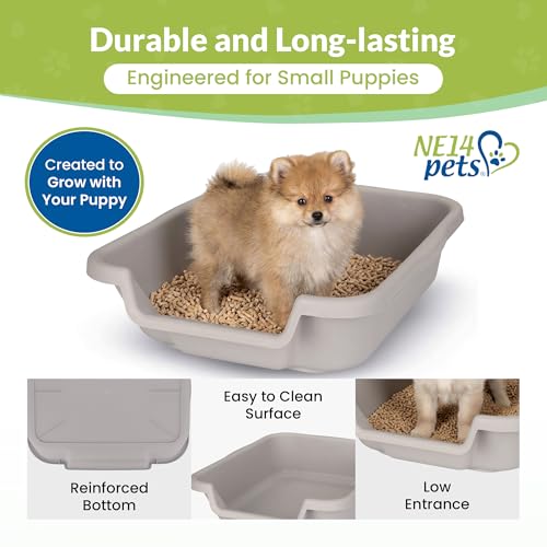 Arenero Gris Pequeño para Perros hasta 6 lbs miniatura 6