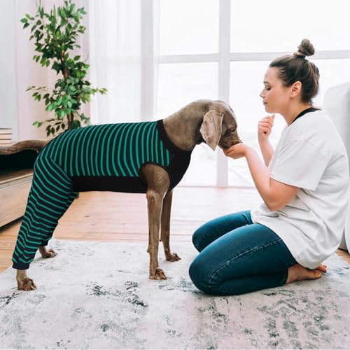 Image of Kuoser Dog Recovery Suit with Anti Licking Rear Leg Sleeve, Green 3XL | Abdominal Dog Surgical Suit with Pants Cover Protect Wounds, Dogs Elbow Protector Soft Pet Surgery Onesie Cone Alternative