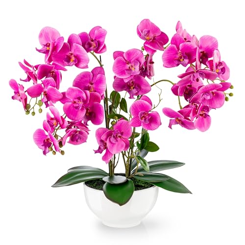 I fiori decorativi e i vasi in ceramica PASCH sono realizzati con materiali durevoli e sono realizzati con cura. Grazie alla scelta del nostro artista floreale, gli eleganti fiori artificiali possono convincere attraverso una raffinata variazione di arte e piante