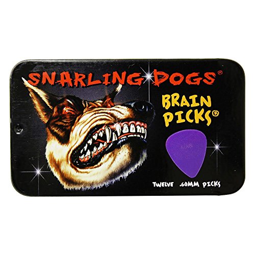D’Andrea Snarling Dog Brain Lot de 12 médiators en nylon avec boîte métallique Violet 0,60 mm - Les Beatles, Paul McCartney, John Lennon, RIngo Starr, George Harrison D'Andrea Snarling Dog Brain Lot de 12 médiators en nylon avec boîte métallique Violet 0,60 mm – Image 4