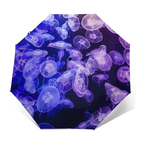 �������[�C�N���Q�P �܂肽���ݎP �����J�� �傫�� �j�����p ����8�{�� �y�� �ϋ��� ������ ���P ���J�P �~�J�΍� ���J���p �ʊw ���s