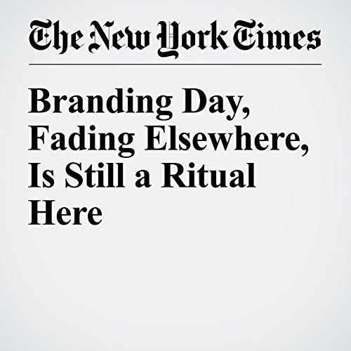 Branding Day, Fading Elsewhere, Is Still a Ritual Here cover art