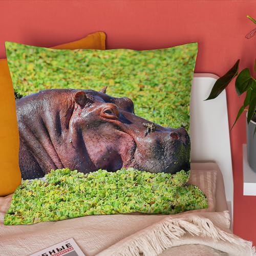 Canapé d'angle décoré avec la housse coussin lin hippopotame 4Pcs