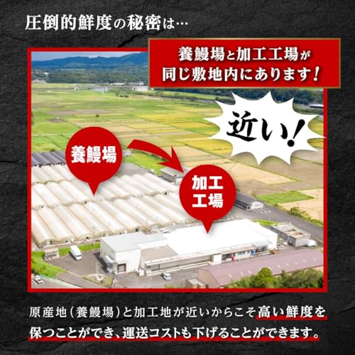 おおさきうなぎ 鹿児島県産 うなぎ長蒲焼 2尾 計330g以上 A703 の商品画像 2