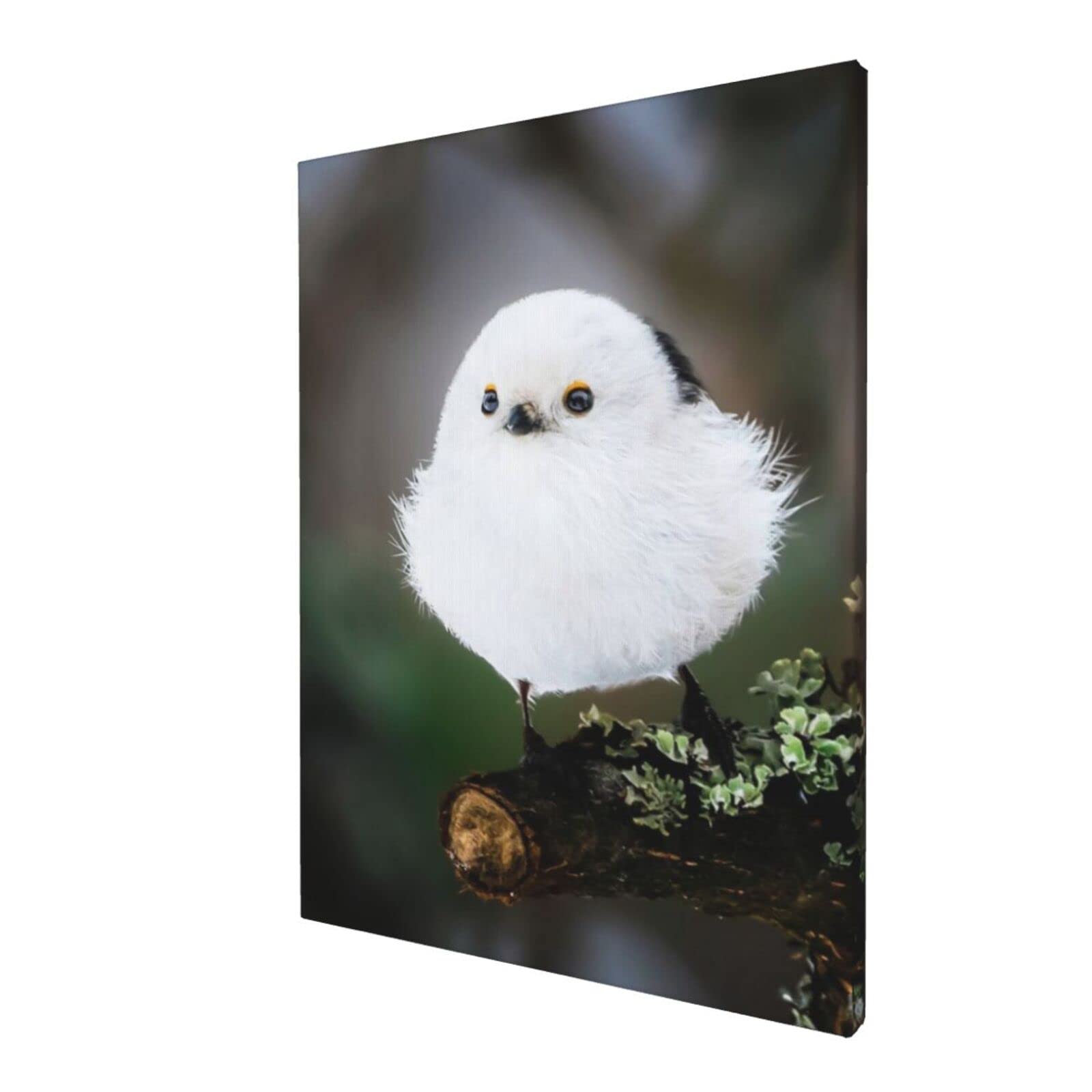 Amazon.co.jp: アートパネル シマエナガ かわいい 鳥 雪 北海道